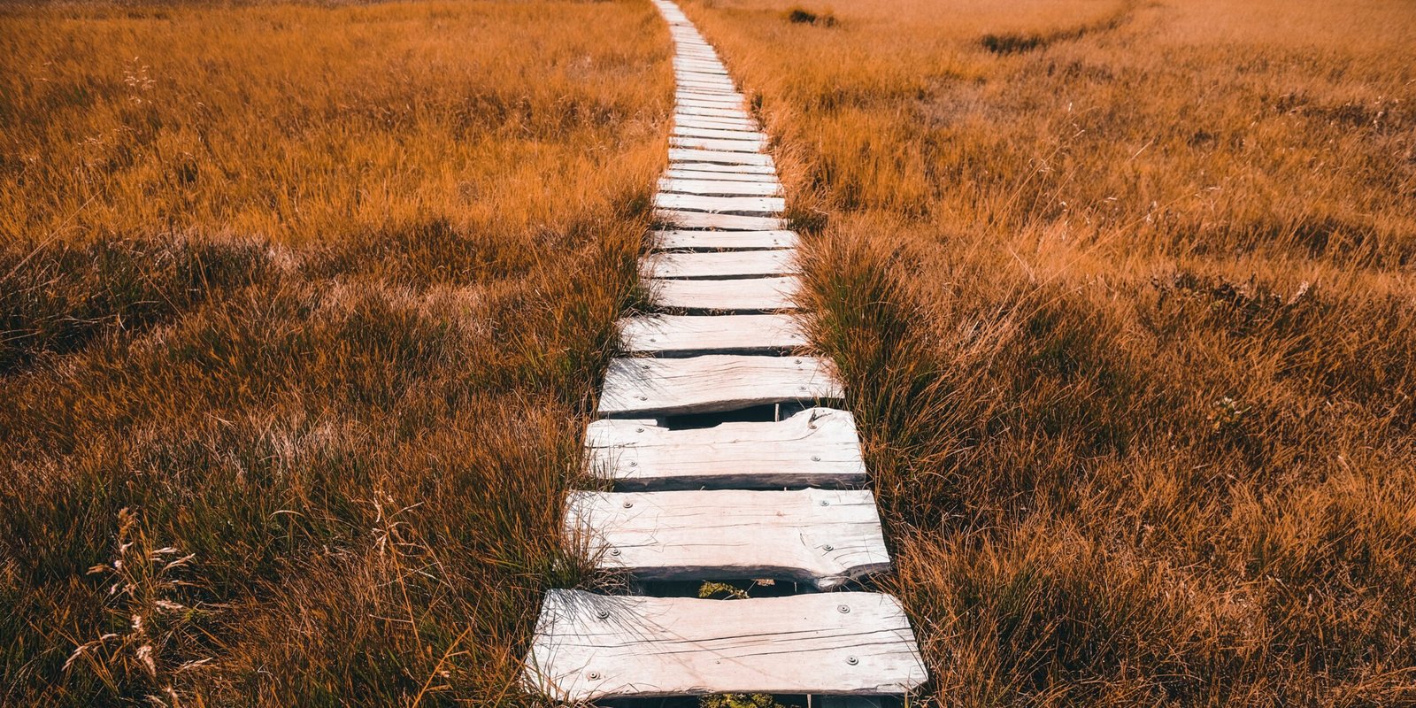 Pasos para comenzar tu Camino hacia tu Propósito